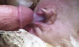 Animal sex and Zoo XXX porn