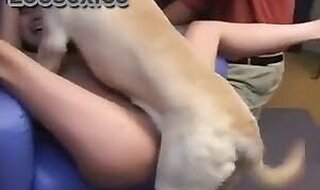 Zoofilia Porn video